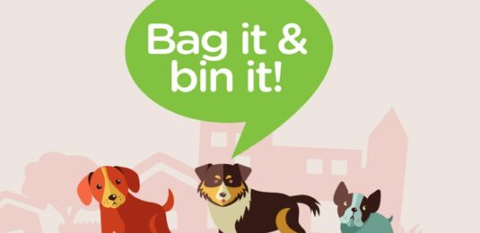 Dog Fouling in Newmarket
