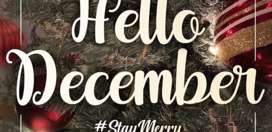 What’s on this Christmas in Newmarket